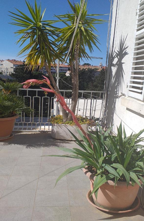 Plavi Zal Apartment Dubrovnik Eksteriør bilde